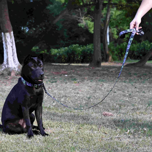 Waterproof Dog Leash & Collar Set