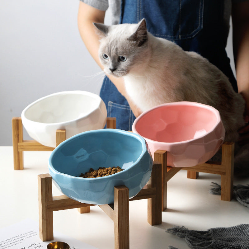 Oblique Pet Feeding Bowl – Premium Cat & Dog Dish