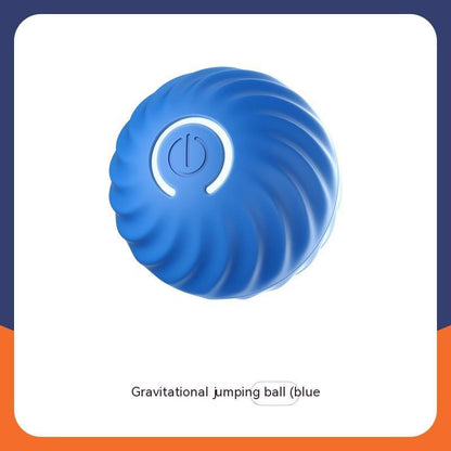 Premium Dog Training Chew Ball