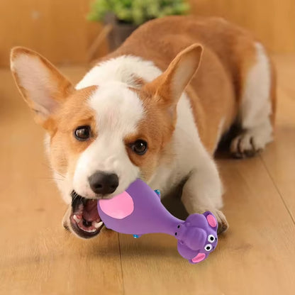 4PCS Squeaky Latex Dog Chew Toys – Cute Dental & Teething Set