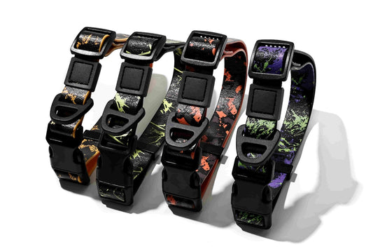 Waterproof Dog Leash & Collar Set