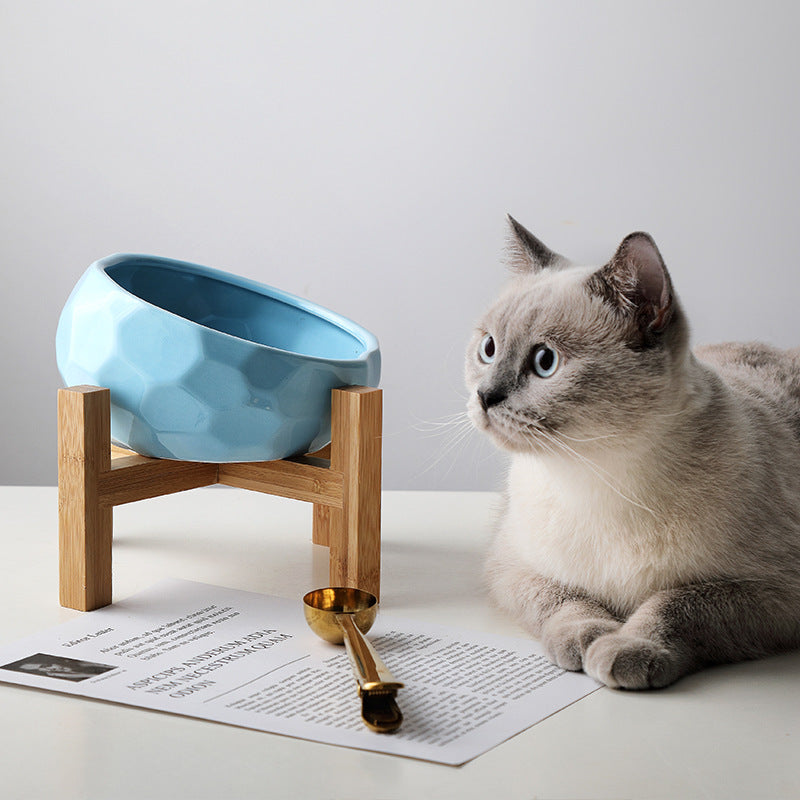 Oblique Pet Feeding Bowl – Premium Cat & Dog Dish