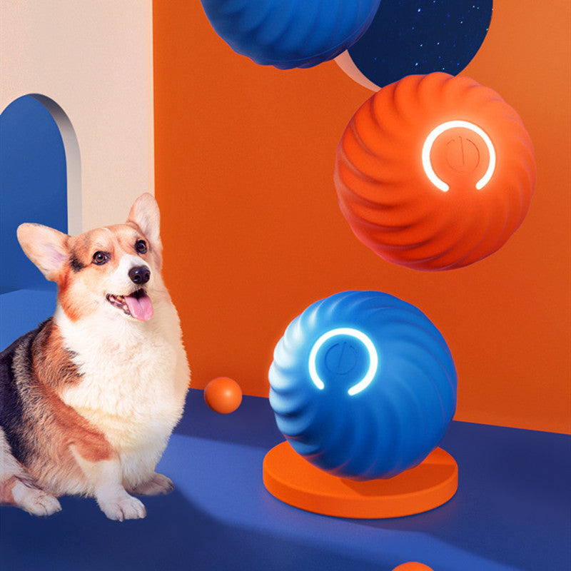 Premium Dog Training Chew Ball