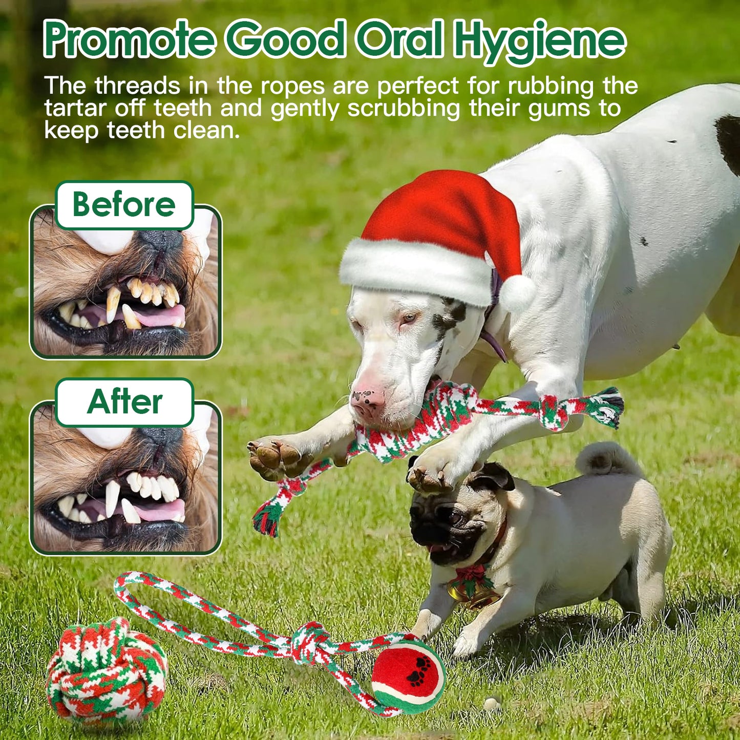 Christmas Dog Rope Toy Set (5-Pack) – Durable Chew & Training Toys for All Dogs