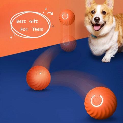 Premium Dog Training Chew Ball