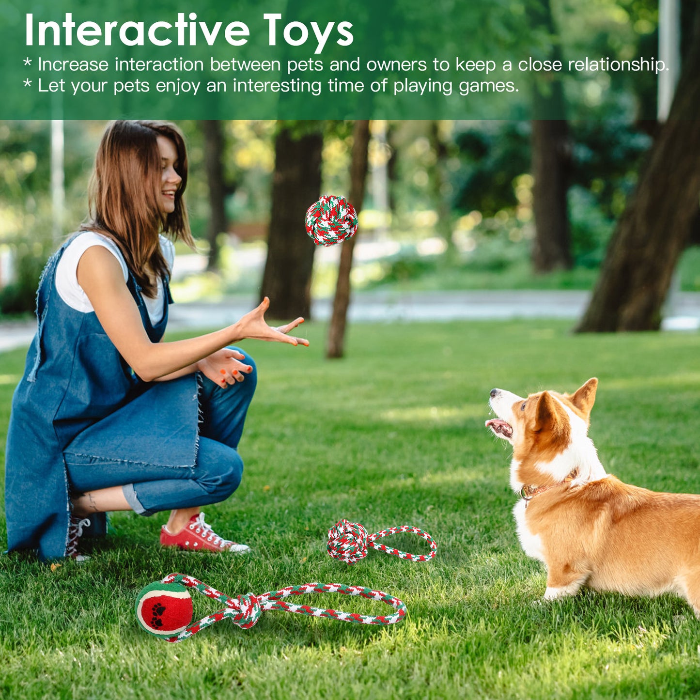 Christmas Dog Rope Toy Set (5-Pack) – Durable Chew & Training Toys for All Dogs