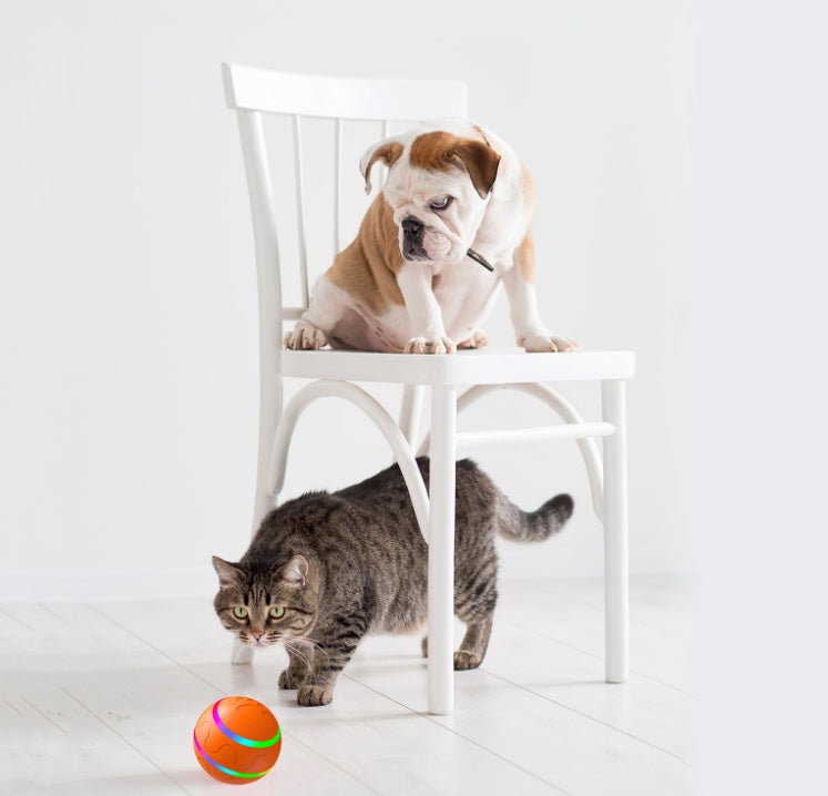 Smart Auto-Rotating Cat Ball – USB Rechargeable Toy