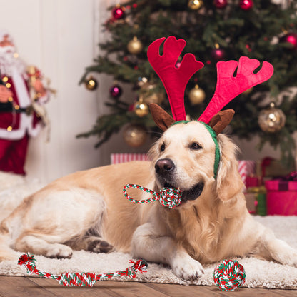 Christmas Dog Rope Toy Set (5-Pack) – Durable Chew & Training Toys for All Dogs