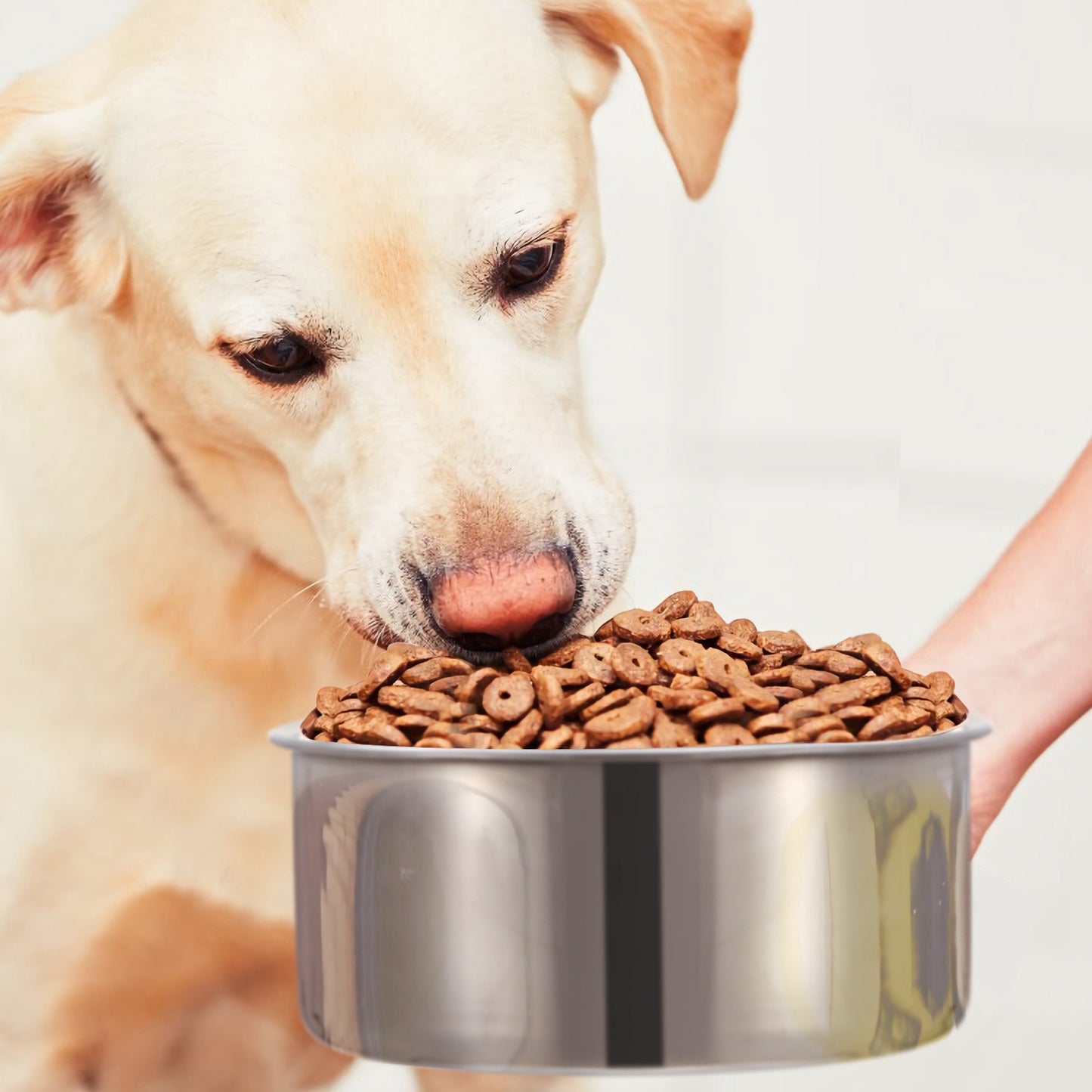 Premium Clamp-On Dog Bowl (M Size)