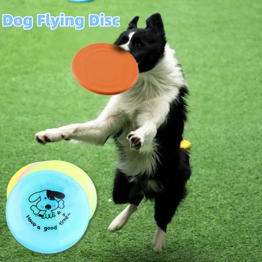Premium Flying Saucer Toy for Dogs & Cats