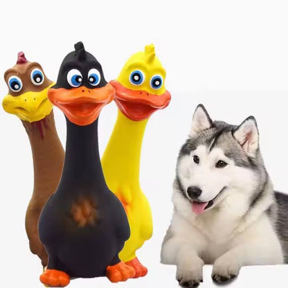 Chicken Squeaky Dog Toys Set – 3PCS Play Pack